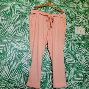 Size 2 Pink Torrid Pant